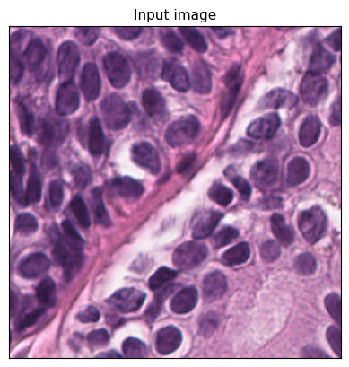 ../_images/examples_link_jco_11_0.png